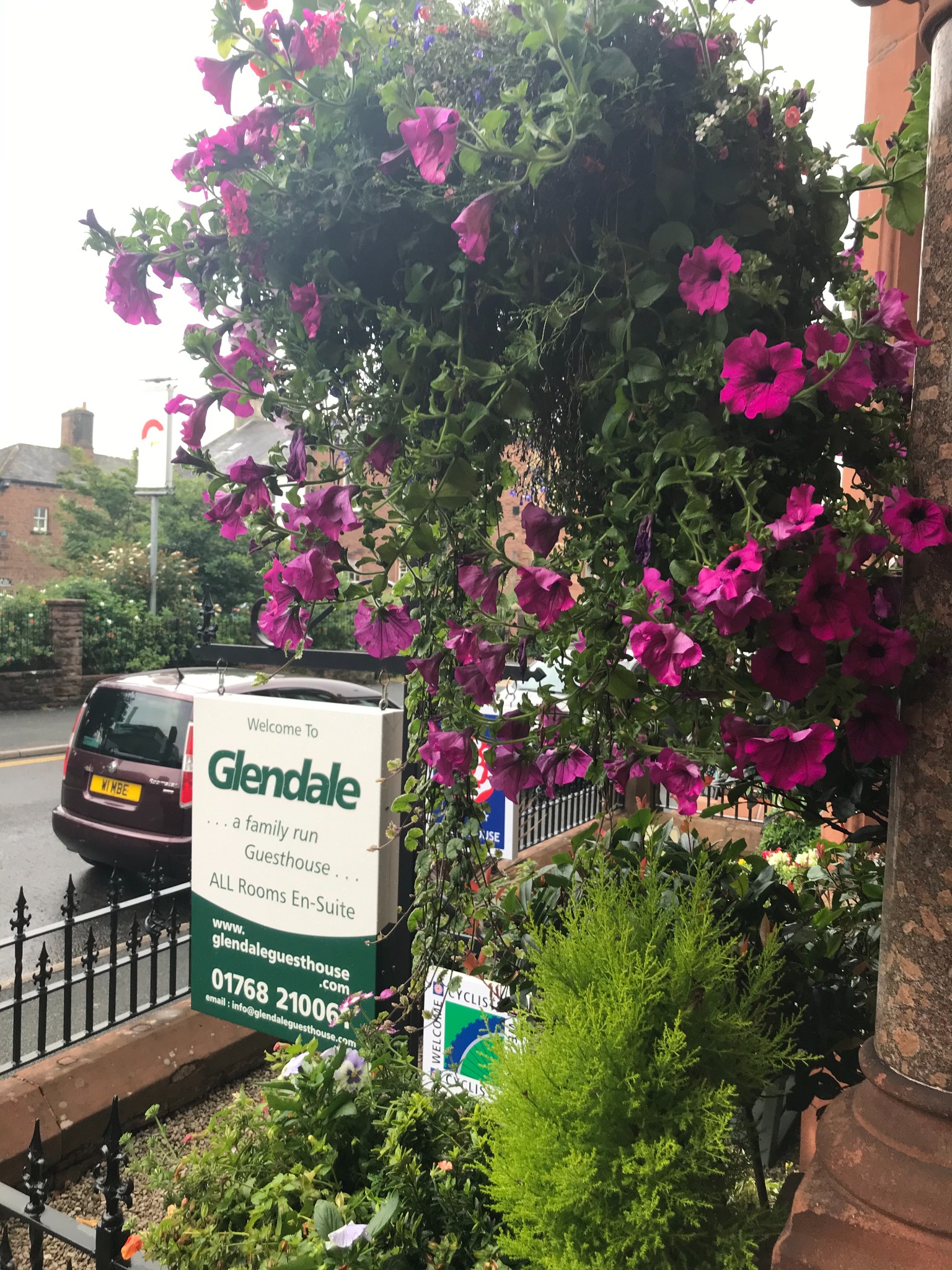 Glendale Guesthouse sign framed by colourful flowers